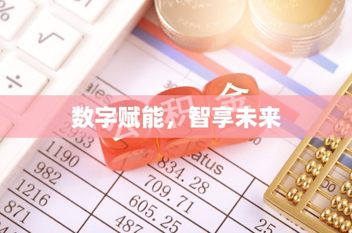 黔西数字赋能，智享未来