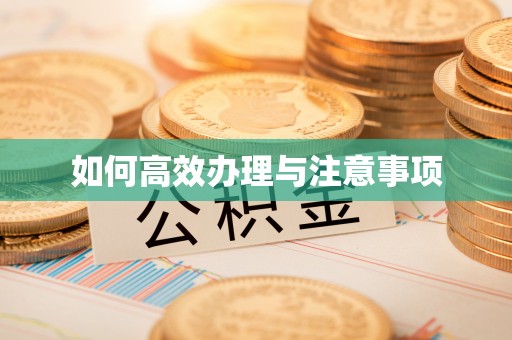 黔西如何高效办理与注意事项