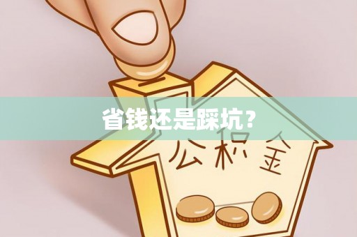 黔西省钱还是踩坑？
