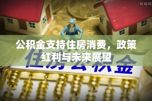 黔西公积金支持住房消费，政策红利与未来展望