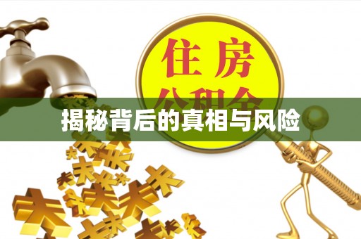 黔西揭秘背后的真相与风险
