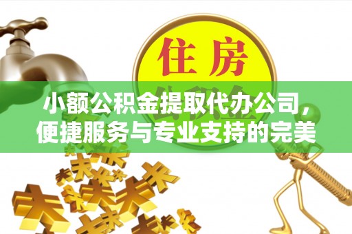 黔西小额公积金提取代办公司，便捷服务与专业支持的完美结合