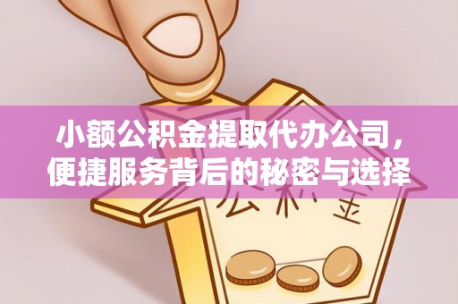 黔西小额公积金提取代办公司，便捷服务背后的秘密与选择指南