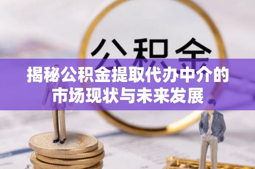 黔西揭秘公积金提取代办中介的市场现状与未来发展