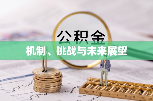 黔西机制、挑战与未来展望