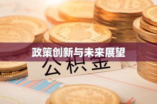 黔西政策创新与未来展望